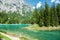Gruner See with crystal clear water in Austria
