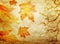 Grunge abstract fall background