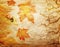 Grunge abstract fall background