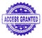 Grunge ACCESS GRANTED Stamp Seal