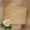 Grunge alienated paper with painting rose