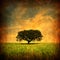 Grunge background with Lonely tree