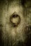 Grunge background - rusty antique door knocker