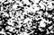 Grunge Black Distressed Textured Mess Dirt Black Dirty Grunge Effects Printing Pattern Useful White Background