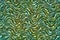 Grunge  blue  and green  turqouise  wavy pattern