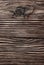 Grunge brown natural wooden surface