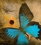 Grunge butterfly background