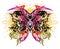 Grunge colorful splattered butterfly wings