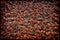 Grunge Corrosion Rust Iron Background