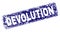Grunge DEVOLUTION Framed Rounded Rectangle Stamp