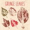 Grunge fallen leaves texture