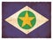 Grunge flag of Mato Grosso & x28;Brazil& x29;