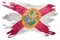 Grunge Florida state flag. Florida flag brush stroke.