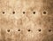 Grunge gold brown metal plate rivets screws background texture