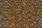 grunge gray , brown and black seamless wood pattern abstarct wallpaper