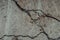 Grunge gray cracked wall. Grey and brown cement wall background. Closeup concrete destroyed wall. Cracks in the blue concrete wa