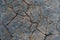 Grunge limestone surface texture