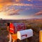 Grunge mail boxes in a row at Arizona desert