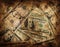 Grunge Money Background