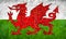 Grunge mosaic Flag of Wales