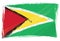 Grunge painted Guyana national flag