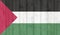 Grunge palestine flag