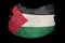 Grunge Palestine Flag. Palestine Flag with grunge texture. Brush