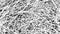 Grunge Pattern. Net, fabric or paper macro structure. Black white texture. Distress grain. Random long stalk grass texture. Grungy