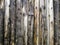 Grunge Pine Fence,Natural dark surface and some peeled put in vertical pattern.