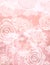 Grunge pink background with decorative roses