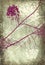 Grunge pink and white blossom branches