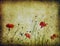 Grunge poppies background