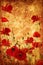 Grunge poppies background