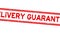 Grunge red delivery guarantee word square rubber stamp zoom in white background