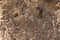 grunge, rough and weathered pale light brown stone wall close up background