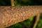 Grunge rusty iron tube. Close-up