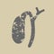 Grunge silhouette of gall bladder vector icon.