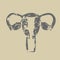 Grunge silhouette of uterus vector icon.