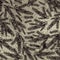 Grunge silver christmas background with black alder twigs, vect