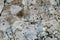 Grunge Stone Texture