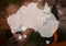 Grunge Styde Map of Australia