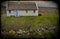 Grunge texture rural irish cottage landscape