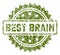 Grunge Textured BEST BRAIN Stamp Seal