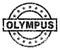 Grunge Textured OLYMPUS Stamp Seal