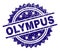 Grunge Textured OLYMPUS Stamp Seal