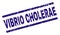 Grunge Textured VIBRIO CHOLERAE Stamp Seal