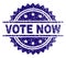 Grunge Textured VOTE NOW Stamp Seal