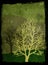 Grunge trees illustration - green