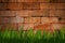 Grunge urban brick wall with green grass