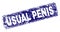 Grunge USUAL PENIS Framed Rounded Rectangle Stamp